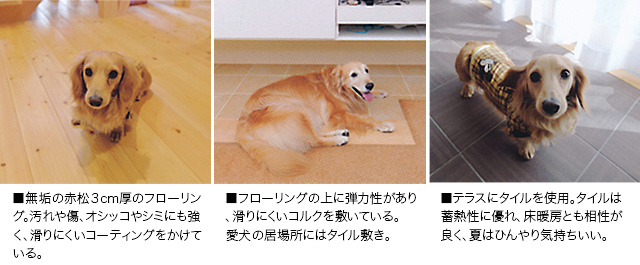 愛犬家住宅アイデアー床