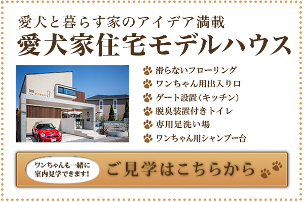 愛犬家住宅アイデア ドッグスペース 家を建てたい方 グランドラインコーポレーション 愛犬家住宅アイデア ドッグスペース 家を建てたい方 グランドラインコーポレーション